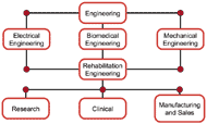 Example engineering educational programs that feed into RE, and the associated areas of employment: The figure depicts a flow chart that starts with “Engineering” at the top, followed by “Electrical Engineering”, “Biomedical Engineering”, and “Mechanical Engineering” on the next line.  These three disciplines then flow into “Rehabilitation Engineering” on the next line.  The bottom line breaks out rehabilitation engineering into “Research”, “Clinical”, and “Manufacturing and Sales”.